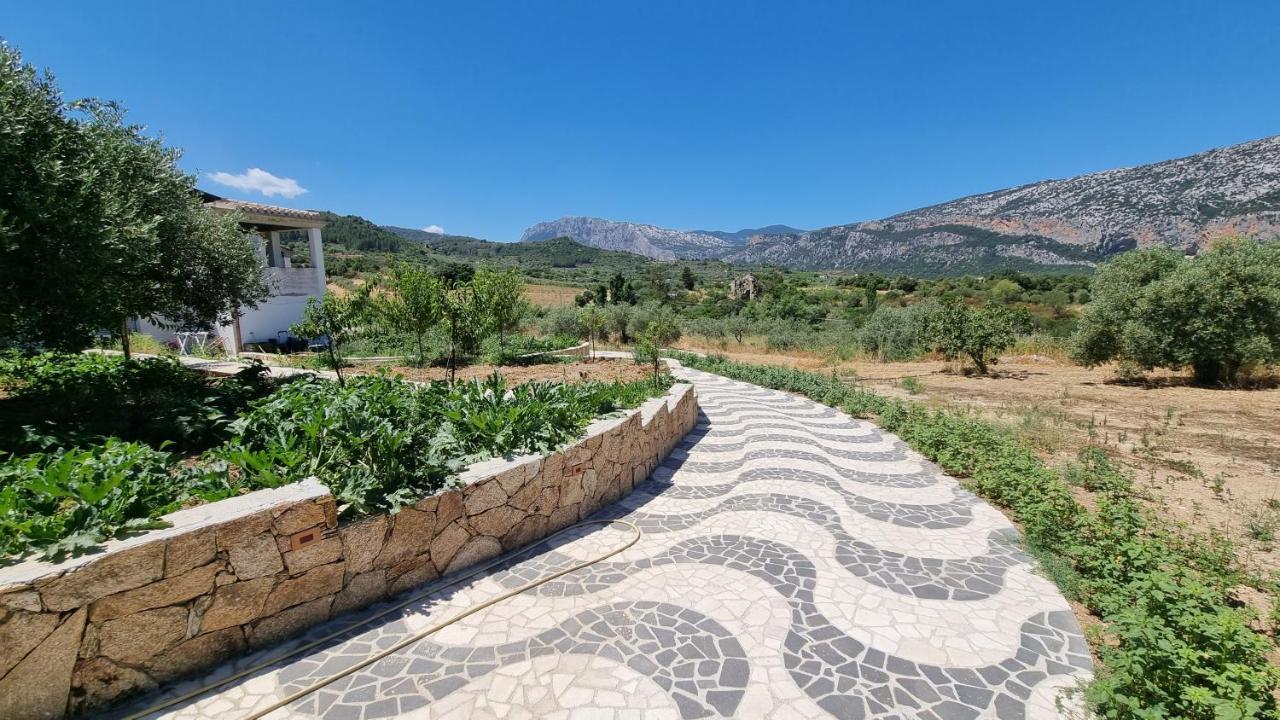 Villa Biriculi Dorgali Extérieur photo